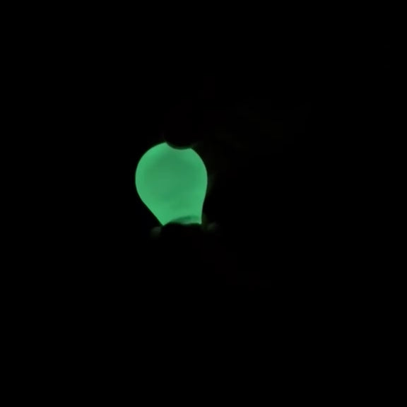 Glow in the Dark Light Bulb Globe Squishy - Maltose Slow Rise Sensory Toy